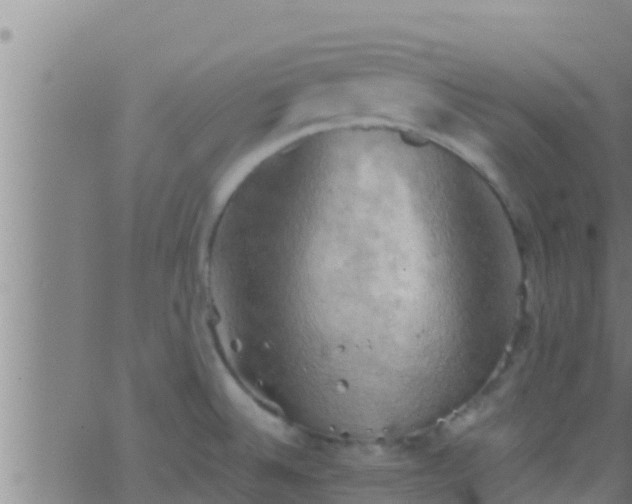 X0000063531524200601271848