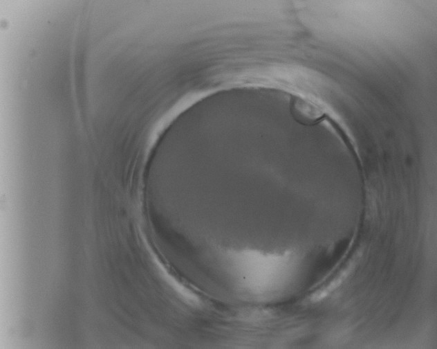 X0000063531525200601271848