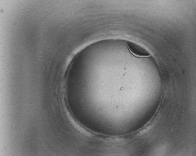 X0000063531526200601271848