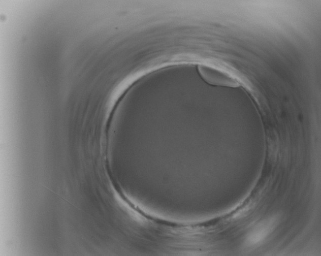 X0000063531527200601271848