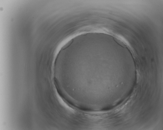 X0000063531528200601271848