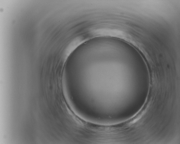 X0000063531529200601271848