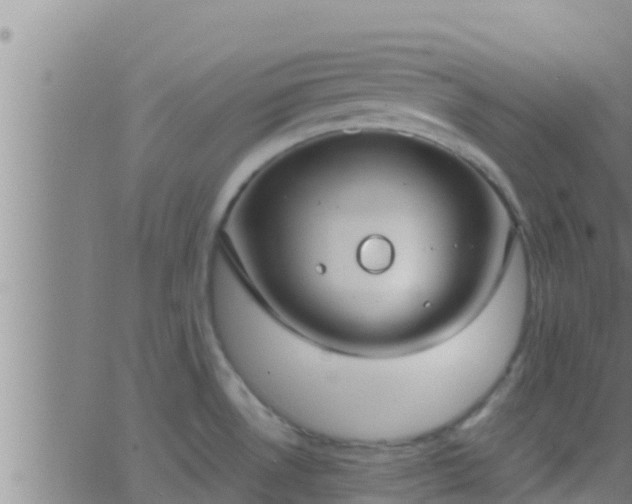 X0000063531530200601271848