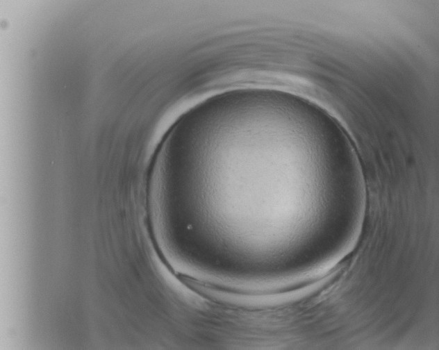 X0000063531531200601271848