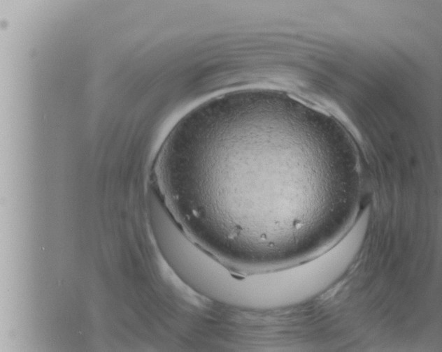 X0000063531532200601271848