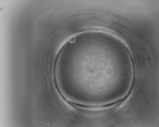 X0000063531533200601271848