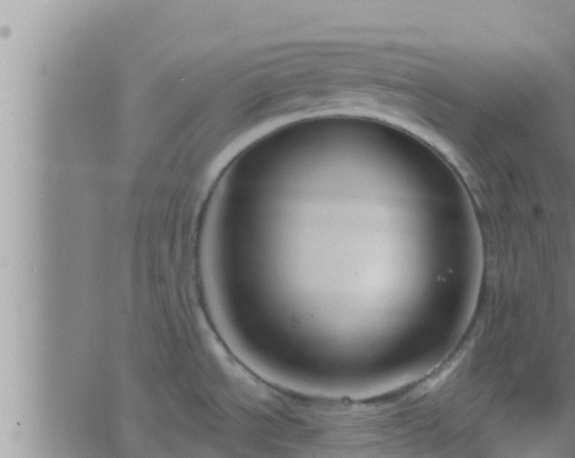 X0000063531534200601271848