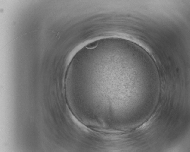 X0000063531535200601271848