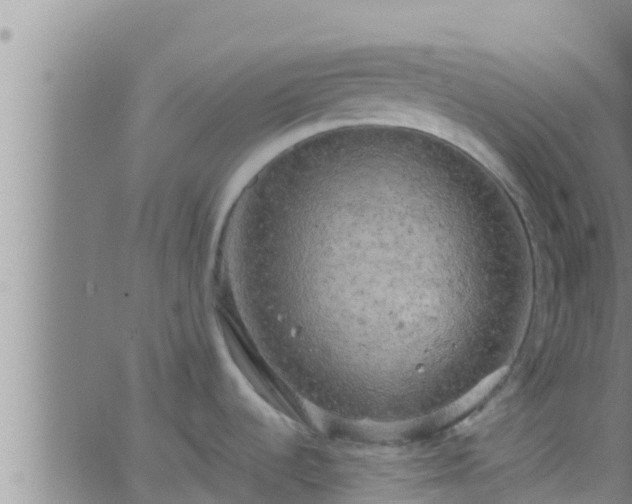 X0000063531536200601271848