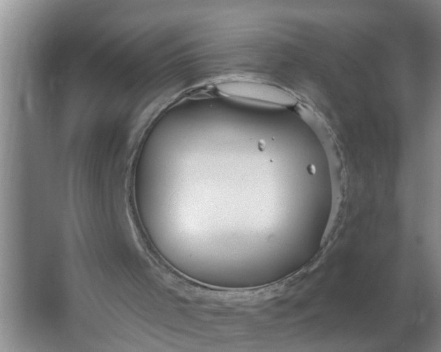 X0000063530001200602032148