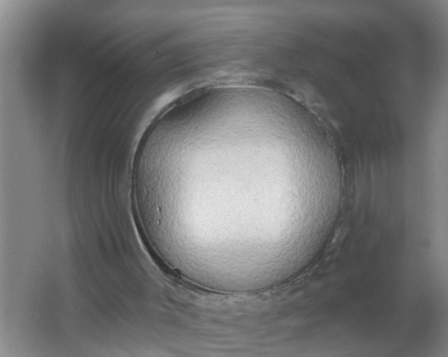 X0000063530003200602032148