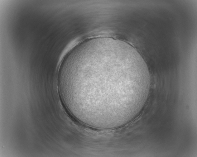 X0000063530004200602032148