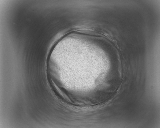 X0000063530006200602032148