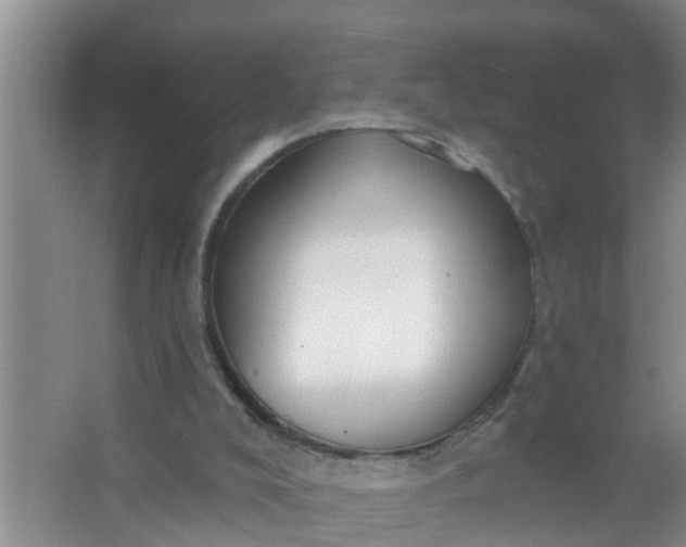 X0000063530008200602032148