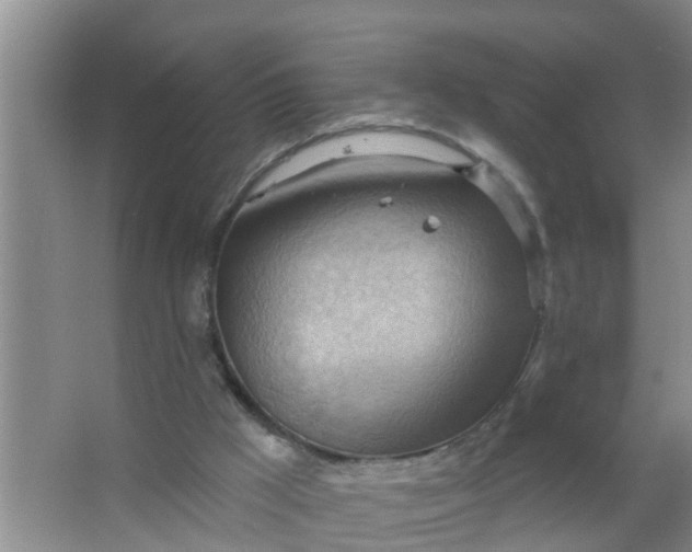 X0000063530009200602032148