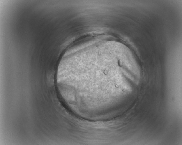 X0000063530010200602032148