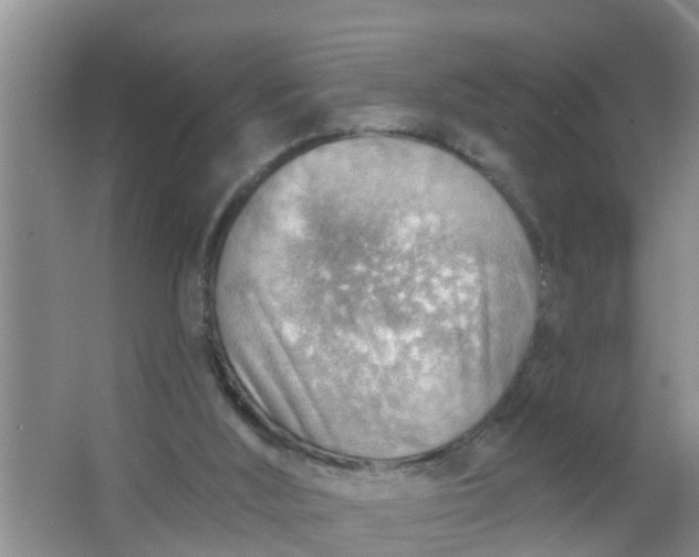 X0000063530012200602032148