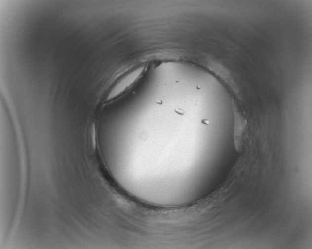 X0000063530013200602032148