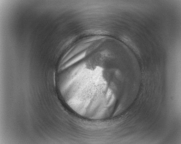 X0000063530014200602032148