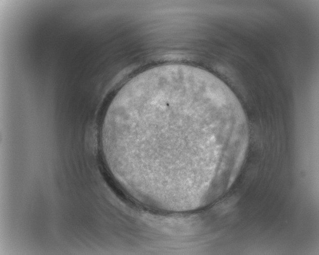 X0000063530016200602032148