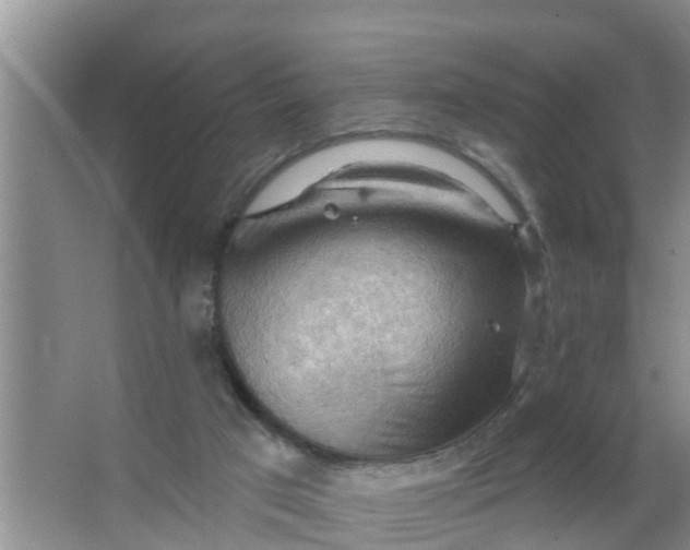 X0000063530017200602032148