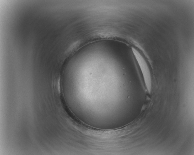 X0000063530019200602032148