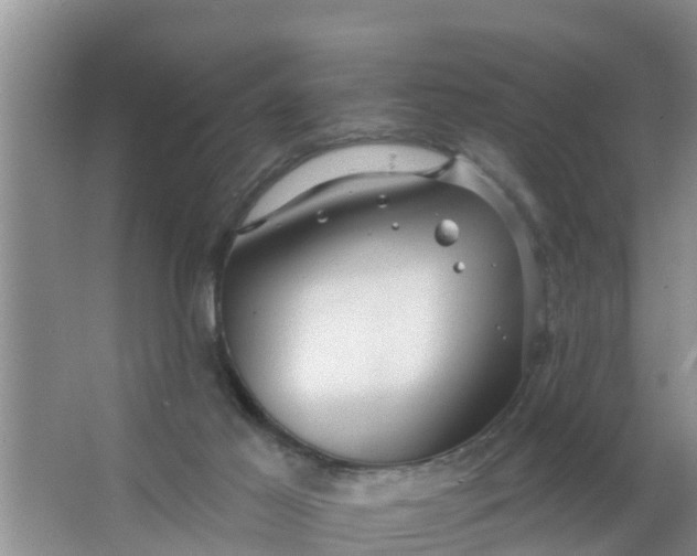 X0000063530021200602032148