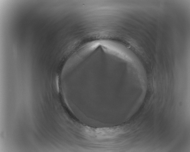 X0000063530022200602032148