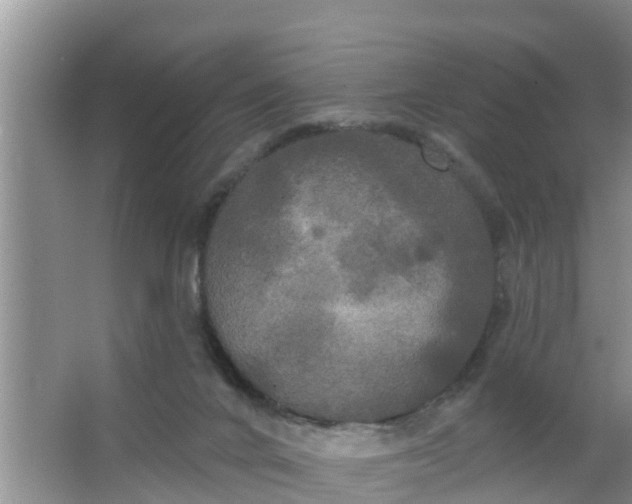 X0000063530024200602032148