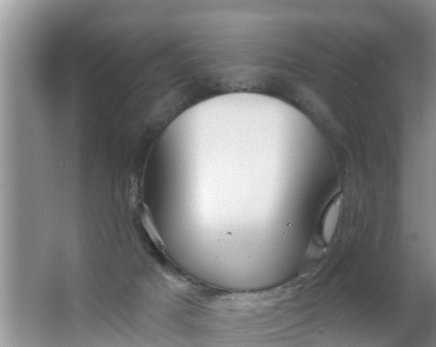 X0000063530025200602032148