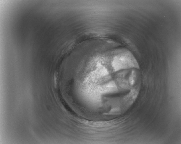 X0000063530026200602032148