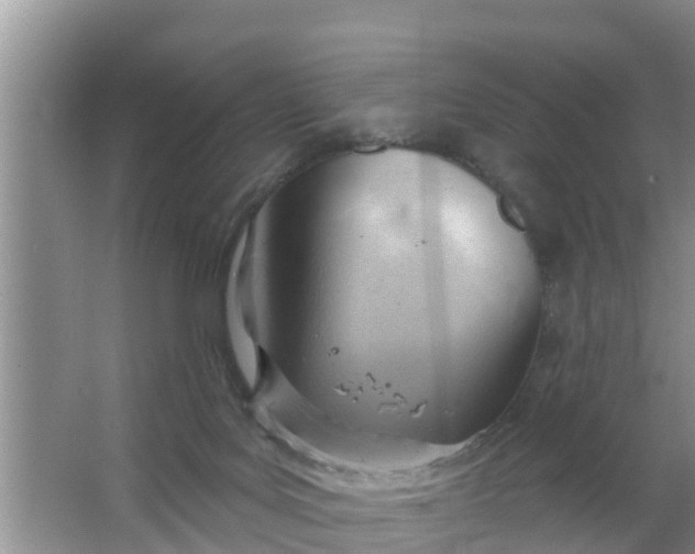 X0000063530027200602032148