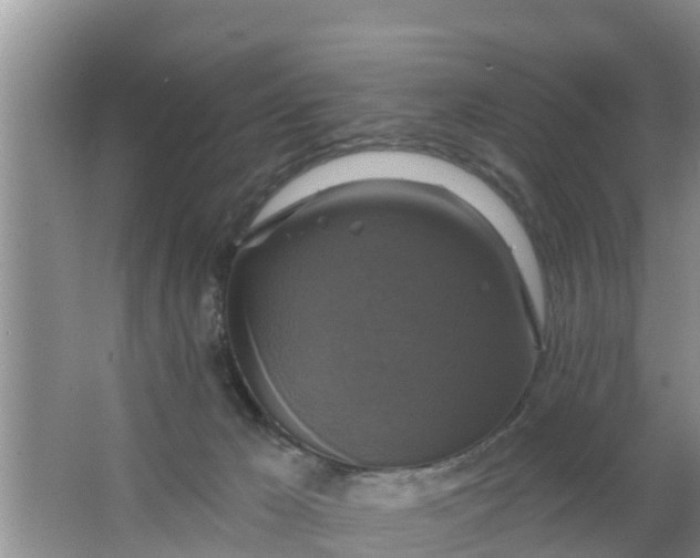 X0000063530029200602032148