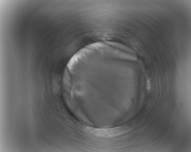 X0000063530030200602032148