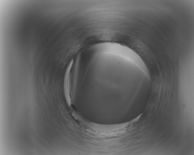 X0000063530031200602032147