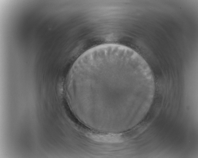 X0000063530032200602032147