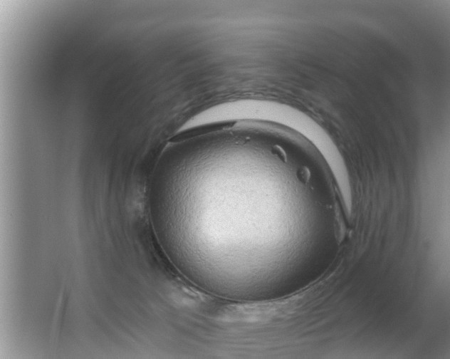 X0000063530033200602032147