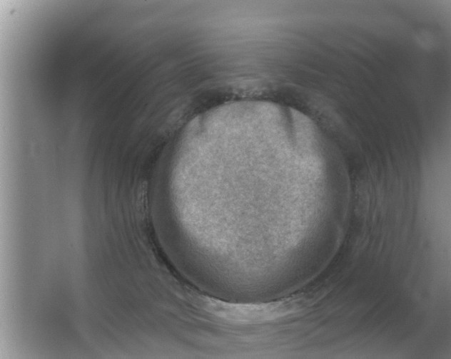 X0000063530034200602032147