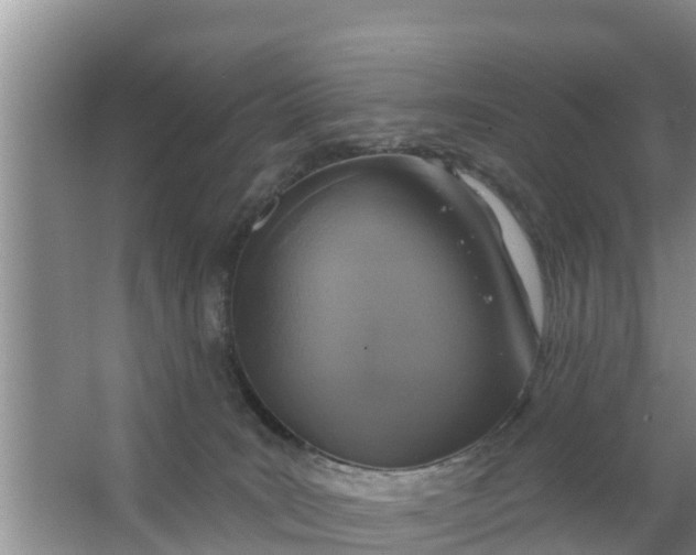 X0000063530035200602032147