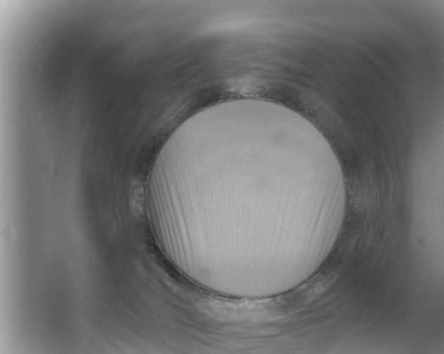 X0000063530036200602032147