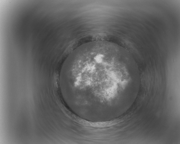 X0000063530038200602032147