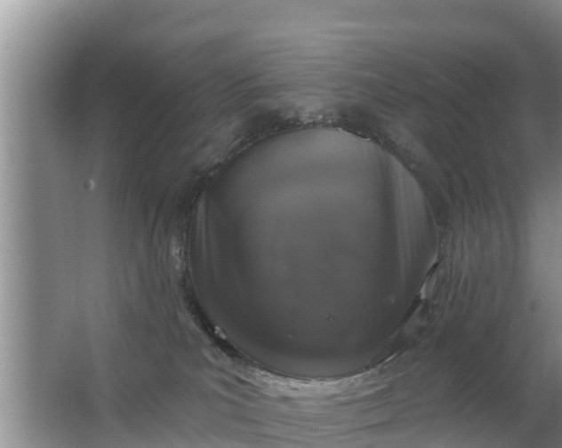 X0000063530039200602032147