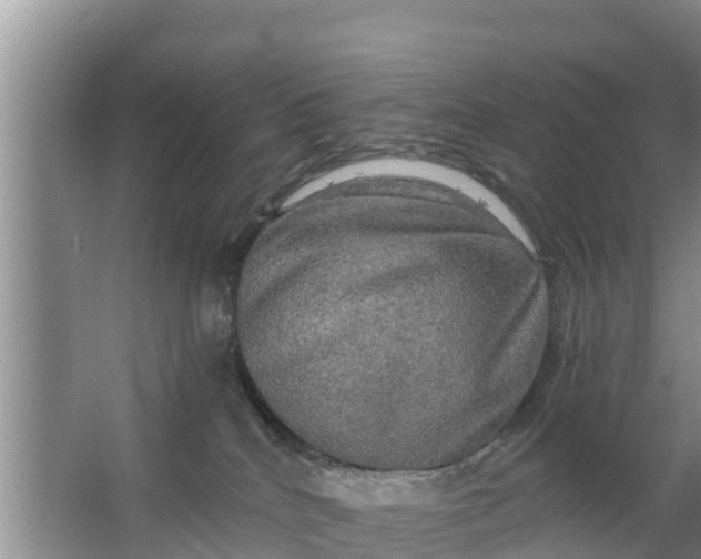 X0000063530040200602032147