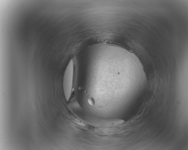 X0000063530041200602032147