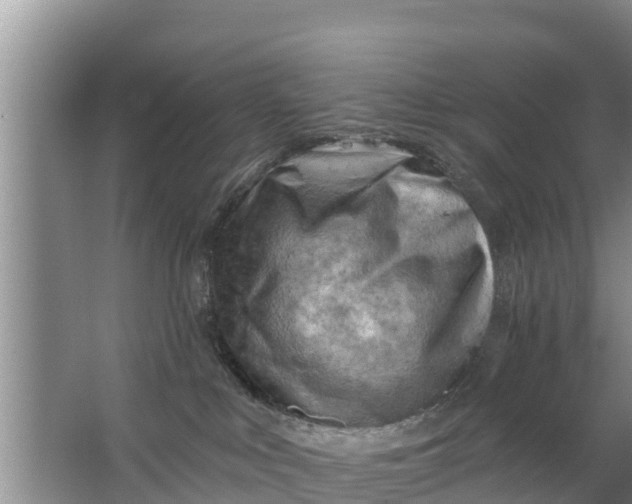 X0000063530043200602032147