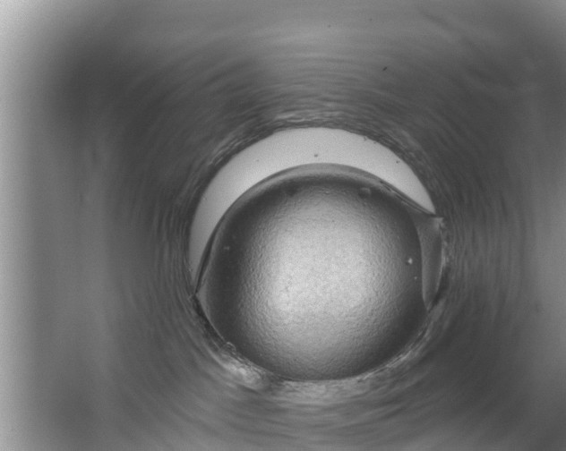 X0000063530045200602032147