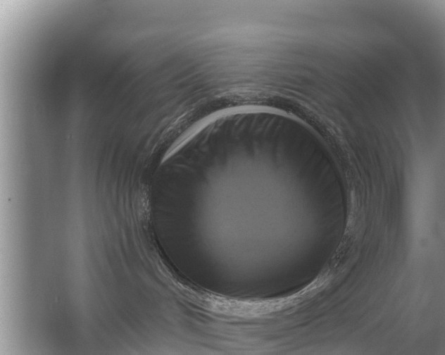 X0000063530048200602032147