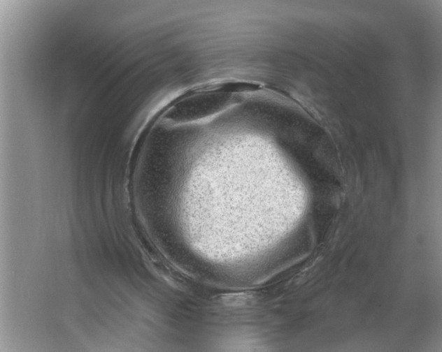 X0000063530050200602032146