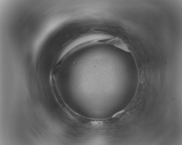 X0000063530052200602032146