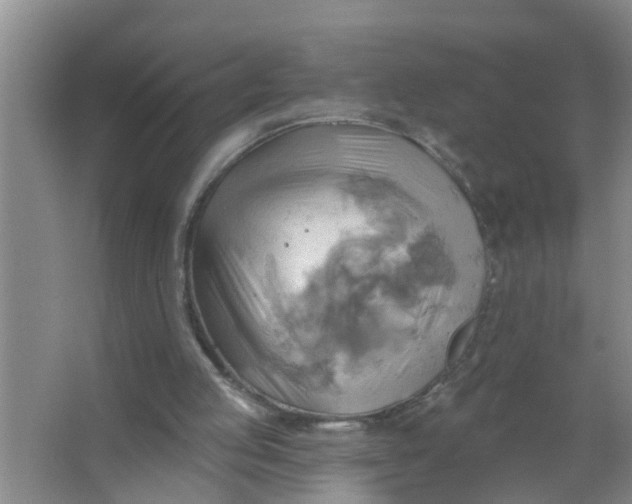 X0000063530053200602032146